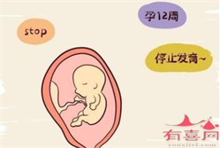 最新云南代孕价格,连云港做第三代试管婴儿价格